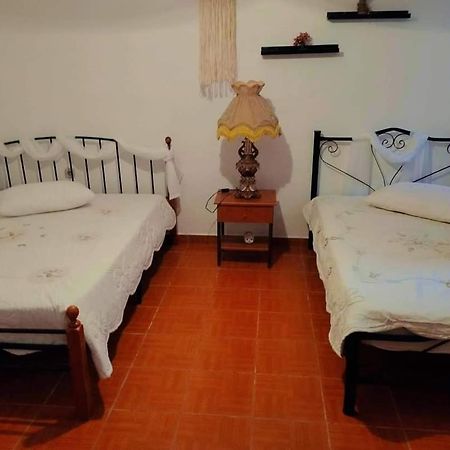 Villa Konstantina Nea Skioni Zewnętrze zdjęcie