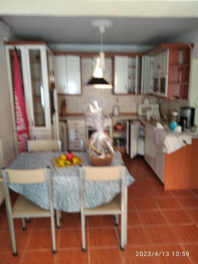 Villa Konstantina Nea Skioni Zewnętrze zdjęcie