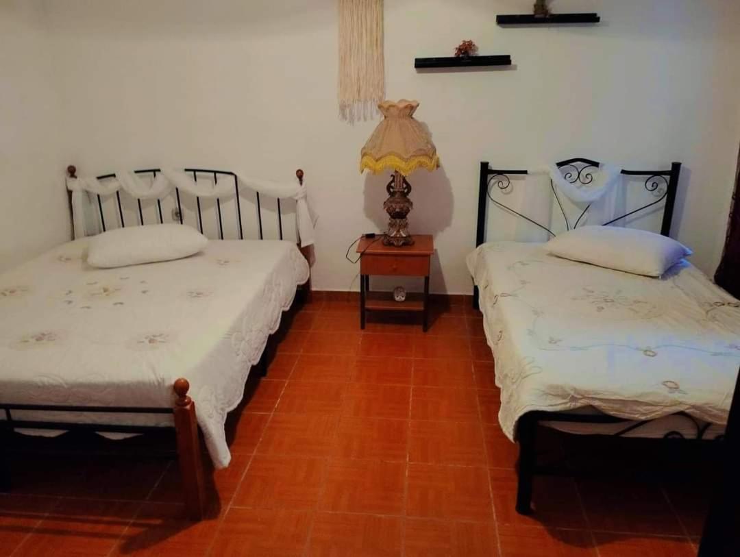 Villa Konstantina Nea Skioni Zewnętrze zdjęcie